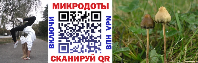 Псилоцибиновые грибы Magic Shrooms  дарнет шоп  Нижнекамск 